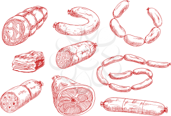 Vintage sketches of smoked sausages, stick of salami, dry cured ham, baked meatloaf, frankfurters and spicy pepperoni. Use for butcher shop, livestock farm or recipe book design
