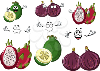Happy exotic sweet fig, ripe feijoa and juicy pitaya fruits cartoon characters. May be use as agriculture, vegetarian dessert recipe, tropical cocktail or confectionery products design