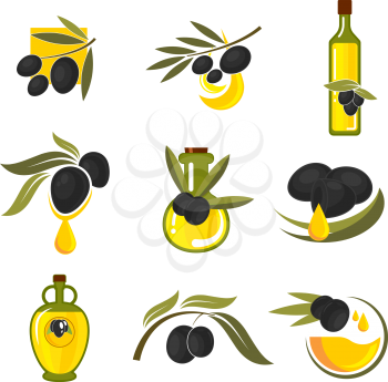 Spanish black olives symbols of olive tree branches with fresh fruits and bottles of healthful extra virgin olive oil. May be use as vegetarian nutrition theme, recipe book or food packaging design