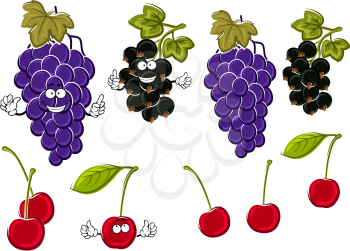 Vine of delicious violet grapes, ripe sweet cherries and healthful black currants fruits cartoon characters with green leaves and funny faces. Use as fruit dessert recipe or juice packaging design