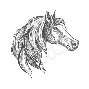 Powerful american quarter stallion with refined profile and long muzzle. Sketch of posing show hunter horse for equestrian sport symbol or t-shirt print design usage