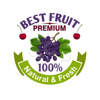 Fruits label template. Natural and fresh berries grape and cherry icons for premium juice packaging, bottle, menu. Merchandise element for sticker, tag, poster, leaflet, flyer