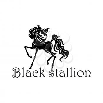 Young andalusian colt black silhouette with elegant curved neck, raised foreleg and thick curly mane and tail. Great for horse show, dressage symbol or horse breeding farm theme design