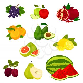 Fruits icons. Isolated vector fresh fruits grape, apple, pomegranate, orange, avocado, lemon pomelo lemon plum pear watermelon