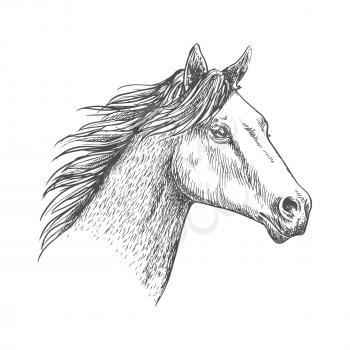 Horse with mane waving in wind. Proud and free mustang stallion pencil sketch strokes portrait