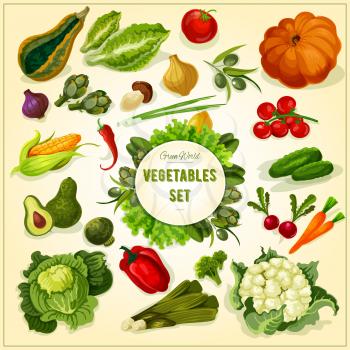 Healthy organic vegetables and herbs icon with tomato, olive, onion, corn, cucumber, carrot, pepper, pumpkin, cabbage, avocado broccoli leek mushroom cauliflower lettuce artichoke basil
