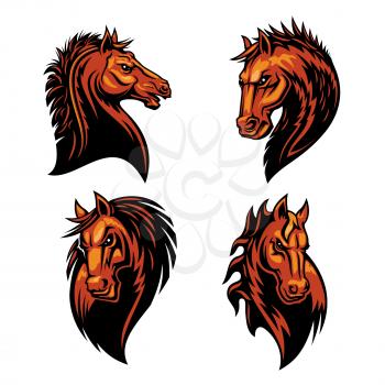 Furious horse head heraldic icons set in fire shape. Raging stallion vector heraldry emblems. Mustang shield symbol for sport club emblem, team badge, label and tattoo