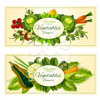 Healthy farm vegetables and fruits banners with tomato, green onion, carrot, mushroom, olive, lemon, lettuce, cabbage, corn, zucchini cauliflower artichoke and green salads