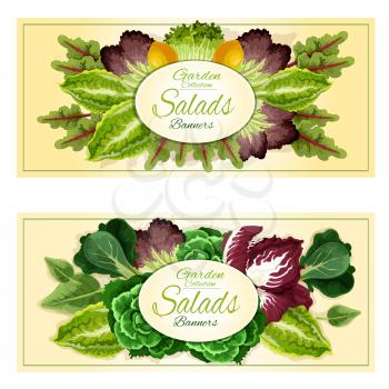 Fresh organic leaf vegetables and salad greens banners set with cabbage, lettuce, spinach, watercress, radicchio, bok choy, arugula, purple kale, iceberg lettuce and chard