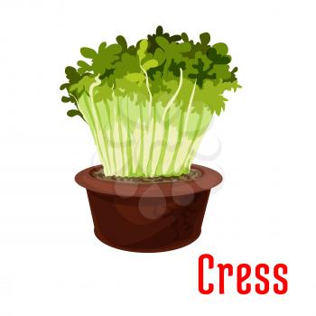 Fresh garden cress isolated cartoon icon. Green sprouts of cress salad in flower pot for vegetarian food, salad recipe, healthy food design