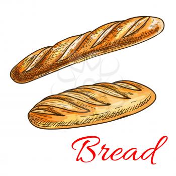 Sketch of wheat bread with fresh crispy french baguette and long loaf. Bakery shop and food packaging design