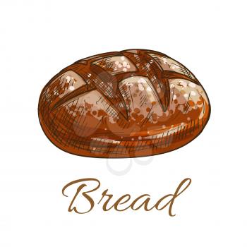 Bread loaf icon for bakery shop emblem. Round rye bread bun. Vector color pencil sketch