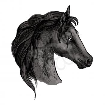 Horse portrait. Black mustang profile with wavy mane and proud noble look. Artistic vector sketch