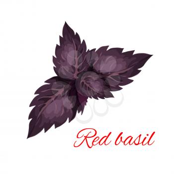 Red basil herb leaves isolated icon. Vector emblem of red basil herb dressing culinary spice and cooking ingredient for decoration, package design element, sticker, label