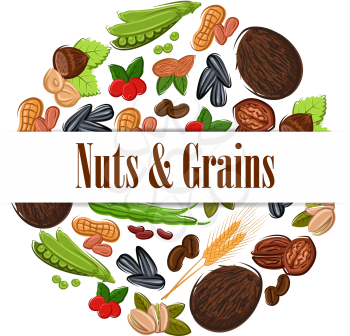 Nutritious nuts and grains in round shape emblem. Natural coconut, almond, pistachio, cashew, hazelnut, walnut, bean pod, peanut, sunflower, pumpkin seeds. Vegetarian healthy nutritious raw food banne