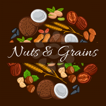 Nuts and grains in round shape emblem. Nutritious coconut, almond, pistachio, cashew, hazelnut, walnut, bean pod, peanut, sunflower, pumpkin seeds. Vegetarian healthy raw food eating for banner, stick