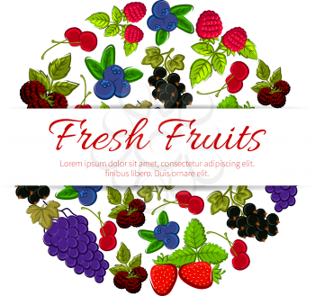 Fresh fruits and berries. Vector fruit emblem for banner, dessert sticker, jam or juice label. Sweet forest and garden fruits and berries of grapes, strawberry, blueberry, gooseberry, black and red cu