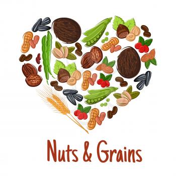 Nut, grain, seed and bean heart poster. Peanut, fresh and roasted coffee, hazelnut, almond, walnut, pistachio, green pod of pea and bean, wheat ear, coconut and sunflower seed. Vegetaian food design