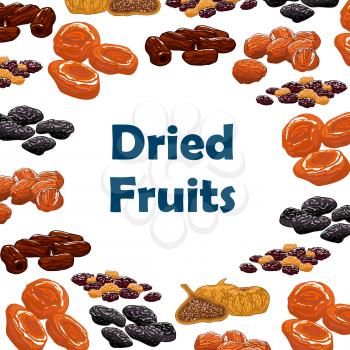 Dried fruits. Vector poster with raw nutritious raisins, dates, figs, apricots, plums, prunes. Vegetarian sweets and dessert snacks