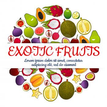 Exotic fruits poster of vector tropical whole and half cut sliced juicy fruits orange, papaya, durian, guava, carambola, dragon fruit, lychee, feijoa, passion fruit maracuya, longan, figs, rambutan, m