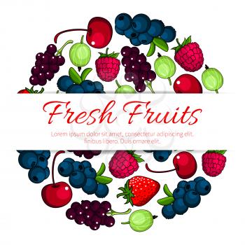 Fruits and berries. Vector poster of fresh juicy forest and garden strawberry, raspberry, cherry, blackcurrant, redcurrant, blueberry, gooseberry