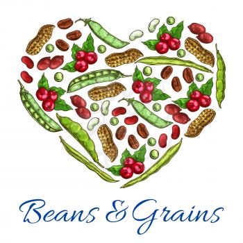 Heart of beans, grains. Vector symbol of nuts, coffee beans, peanuts in shell, beans and green peas, legume pods. Poster with plants seeds for vegetarian and vegan vegetable food nutrition or cuisine