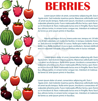 Berries infographic. Isolated vector berry icons of watermelon, cherry, strawberry, raspberry, black currant, gooseberry. Copy space placard, leaflet template for farm and garden fresh berry informati