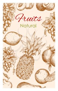 Fruit sketch poster. Natural healthy organic fruit of farm harvest. Vector fresh ripe fruits apple, apricot, pear, tropical pineapple and orange, citrus lemon with grape bunch, pomegranate and exotic 