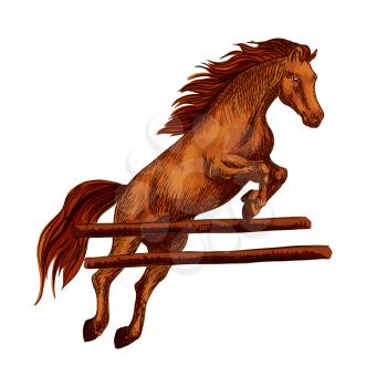 Brown arabian mustang jumping over barrier and running on horseraces. Vector sketch horse stallion for equestrian sport racing, horse riding, equine races or races bets design