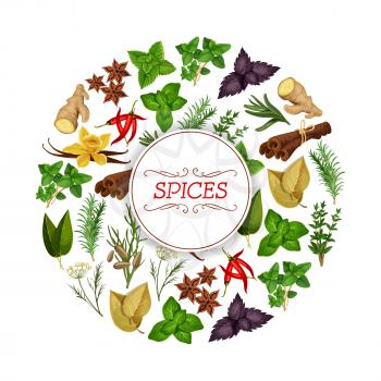 Spice food or seasoning, herb banner. Vanilla and cinnamon, flat-leaved rosemary and star anise, red chili pepper and mint, peppermint or spearmint, ginger rhizome, fennel and cumin, dill and laurus n