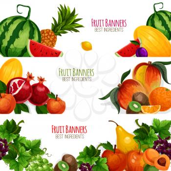Fruits banners set. Farm ripe fruits harvest of vector juicy watermelon and watermelon, exotic pineapple, kiwi and mango, banana, orange and citrus lemon or lime, garden white and red grape, pomegrana