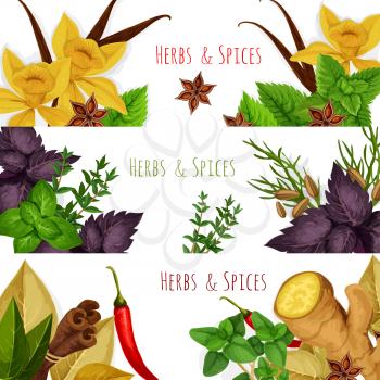 Seasonings spicy herbs or herbal spices condiments. Rosemary and thyme, sage bay leaf, anise and oregano, basil, dill and parsley, ginger, cumin and chili pepper, aromatic vanilla with mint, cinnamon 