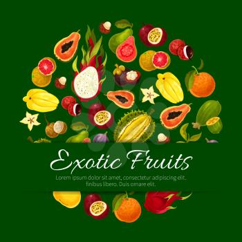 Fruit poster of vector exotic fruits tropical fresh mango, carambola and dragon fruit or pitaya, durian and mangosteen, grapefruit or red orange, passion fruit maracuya and feijoa, guava and juicy lon