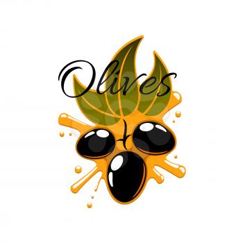 Olive oil splash and fresh flack olives. Vector icon of olive-tree branch with green leaves and black ripe olive fruits. Isolated emblem or symbol for olive oil product bottle label of olive-pomace sa