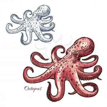 Octopus isolated sketch. Pink octopus, invertebrate marine animal with long tentacles. Seafood market, underwater wildlife theme design