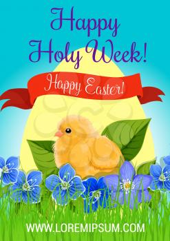Happy Easter poster or Holy Week greeting card and wishes design. Vector paschal egg and chicken chick in flowers bunch of crocuses and green springtime grass. Easter hunt spring religion holiday