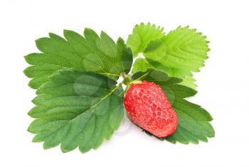 Royalty Free Photo of a Fresh Strawberry