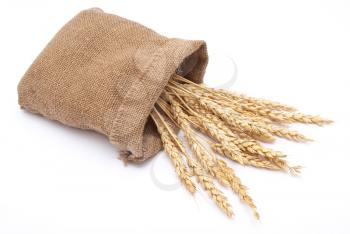 Bag with wheat ears 