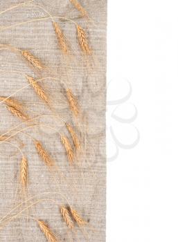 Wheat ears on burlap background