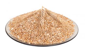 Wheat grains on plate