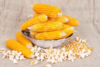 Ripe ears of corn and popcorn on a background of burlap
