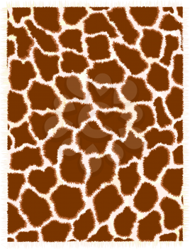 giraffe repeating pattern texture