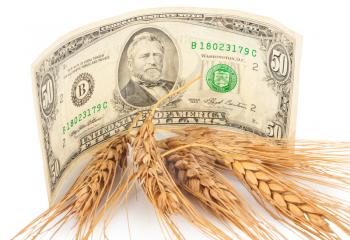 Wheat ears and money