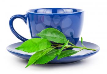 Cup of tea with leaves 