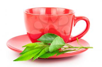 Red Cup of tea with leaves