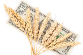 Wheat ears and money