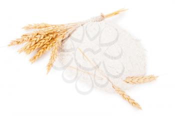 Heap of wheat flour with spikelets