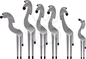 Set of vector animals. Zebras