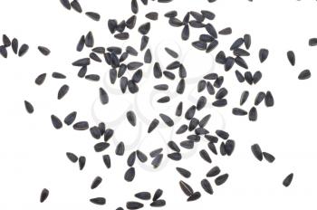 Sunflower seeds on white background