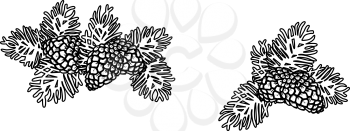 Pinecones Clipart